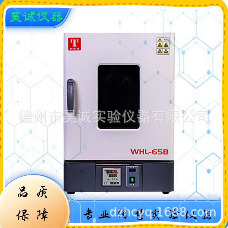 泰斯特WHLL-125BE立式电热恒温干燥箱WHL-125L高温老化箱 工业烘