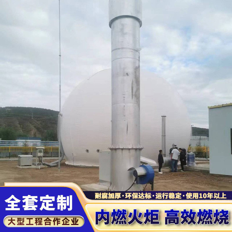 沼气工程环保内燃式外燃沼气火炬大中小型火炬养殖厂垃圾填埋厂