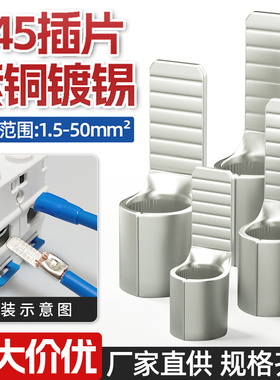 C45紫铜插片空开铜鼻子并线插针线鼻子断路器冷压接线端子压线耳