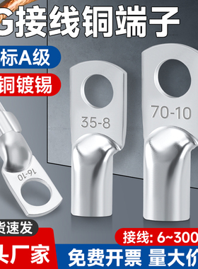 国标加厚JG铜鼻子紫铜镀锡线鼻子船用圆形铜线耳冷压接线端子6-10