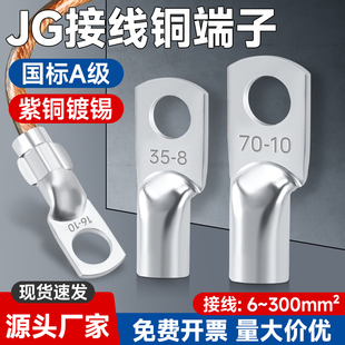 国标加厚JG铜鼻子紫铜镀锡线鼻子船用圆形铜线耳冷压接线端子6-10
