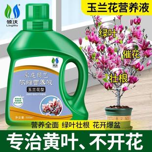 玉兰花营养液肥料专用肥治黄叶黄角兰树家庭阳台盆栽通用型液体肥