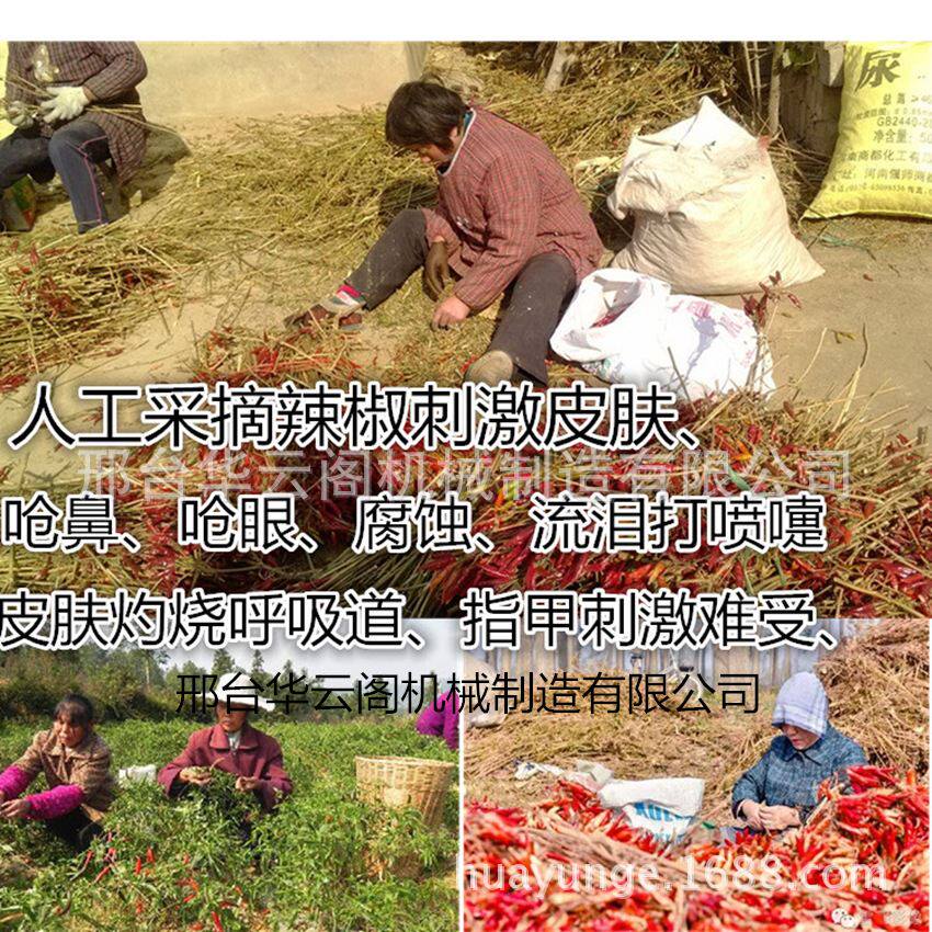 辣椒收获机d械 辣椒采摘机 819辣椒采摘机 辣椒去把机 摘辣椒机