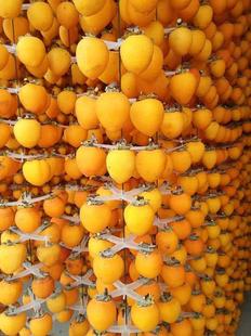 农家自晒挂柿饼的架子晒柿饼的y挂架工具架无把挂钩吊柿子夹子晾