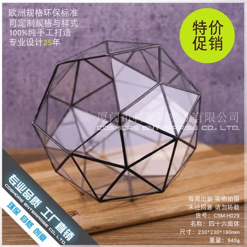 雨林缸造景苔藓微景观玻璃容器器皿植H物摆件花盆盒子 四十六面体