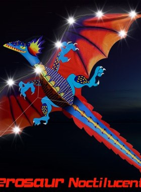 LED 140cm / 55inches Stereo PterosEaur NoctilucentKite / Dra