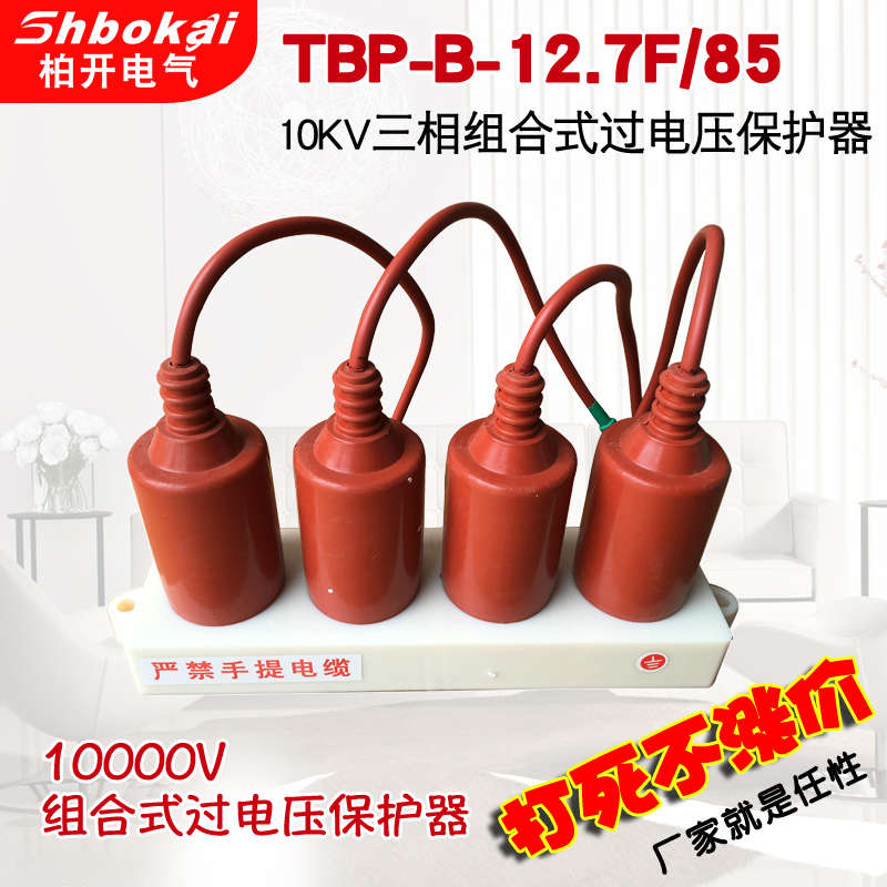 TBP-B-1e0/85 过电压保护器TBP-B-12.7F/131 组合式过电压保护器