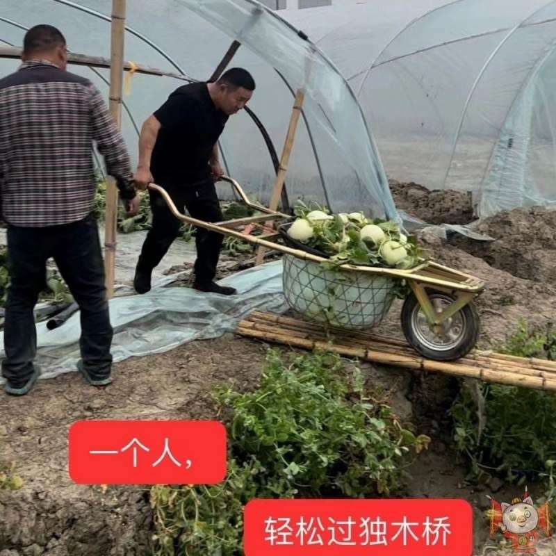 蔬菜瓜果a采摘车西瓜推车箩筐车手推独轮两轮人工采摘农业用运输