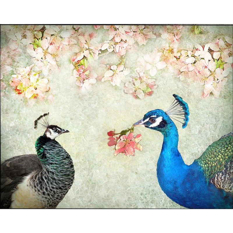 苏绣DIY套件初学 o深情孔雀 玄关客厅卧室餐厅 手工刺绣装饰画图片