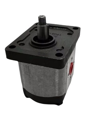 意大利MARZOCCHI马祖奇液压泵ALP2A-D- 22 25 30N34 37 40 50 -FG