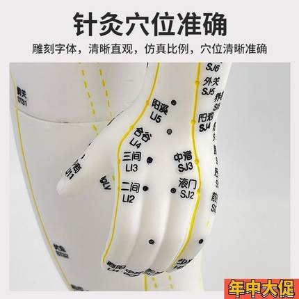 60 85CM中医人体针灸十二经络穴位模型标准全身小铜人教学模特图