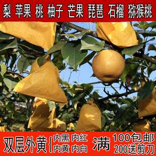 黄金梨套袋桃套袋苹果葡萄防虫鸟防雨水秋月梨芒果柚子枇杷专用袋