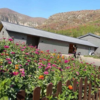 彷古一体瓦浅灰屋檐房顶树脂塑料瓦片中式M招牌门头围墙造型装饰