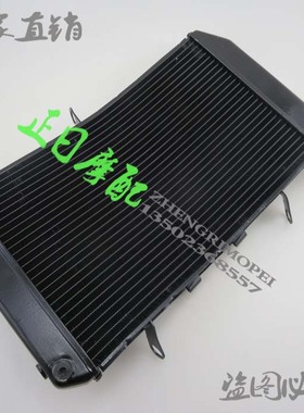 FZ1N FZ1000S 06-07-08-09-10-11-12年 水箱Y总成 冷水器