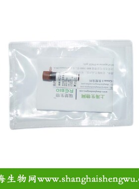 10000c核苷酸胶体染料SYBR Green I 10100ul R04016 核酸电泳