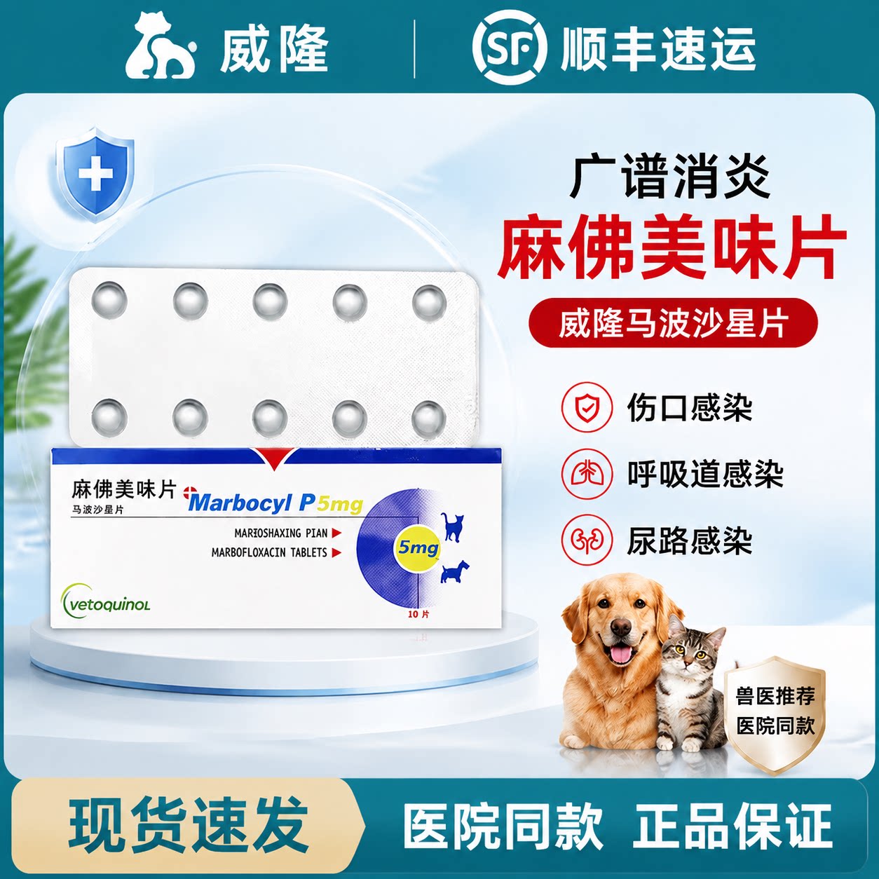 威隆马波沙星犬猫消炎护理片