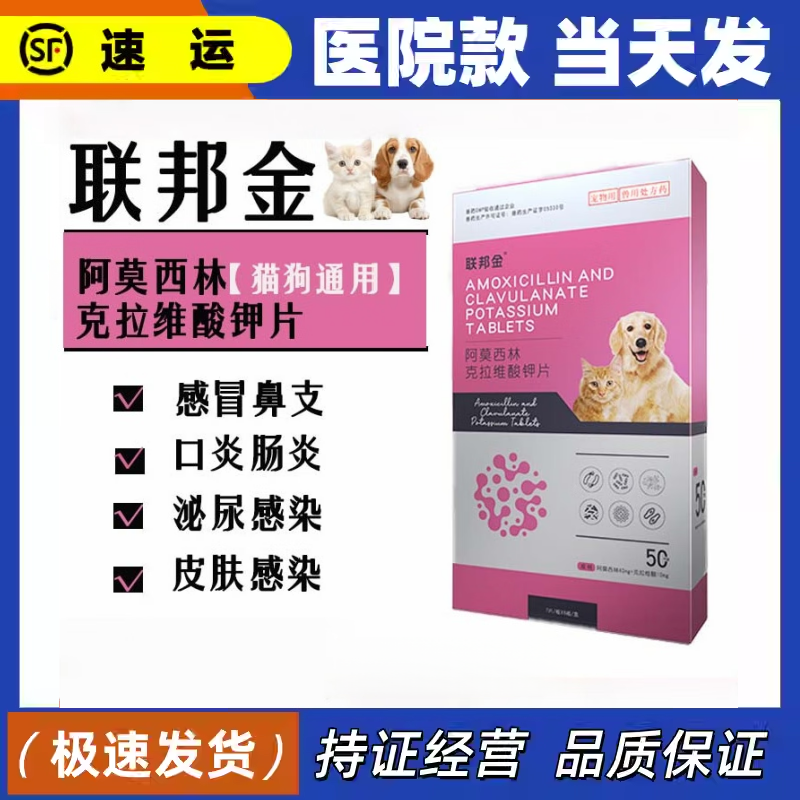 金阿莫西林克拉维酸钾猫咪狗犬