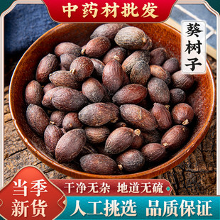 正宗野生葵树子中药材500g葵扇籽葵树籽成熟蒲葵籽葵树子愧奎魁睽