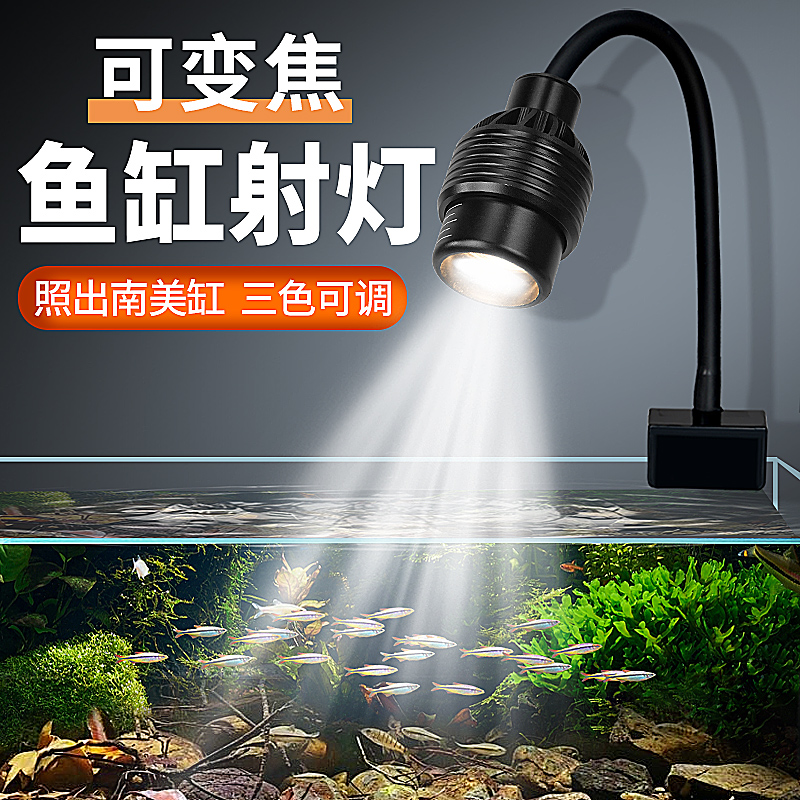 三色可调720度自由旋转南美射灯