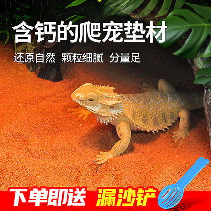 爬宠钙沙鬃狮守宫蜥蜴陆龟蝎子垫材砂石爬虫沙漠造景沙子饲养爬沙