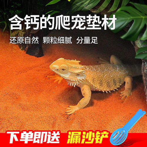 爬宠钙沙垫材造景沙下单送沙铲