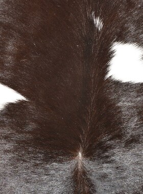 整张奶牛皮地毯 真皮毛一体小牛皮A19J胎牛皮台布桌布脚垫地垫门