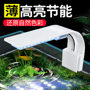 led高亮鱼缸灯夹小型水族箱照明灯水草灯防水节能增亮造景小夹灯