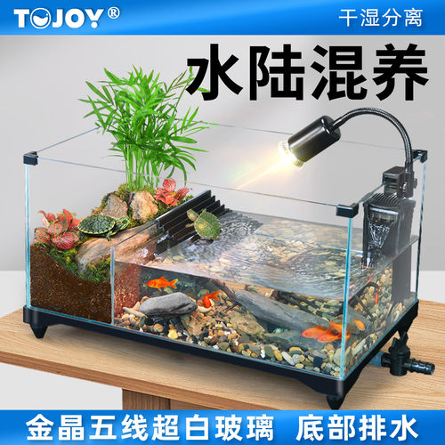 超白玻璃生态两栖水陆龟鱼混养缸