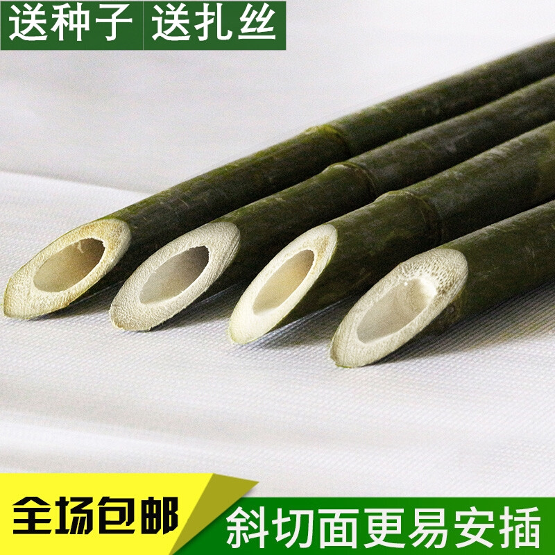 黄瓜架子竹竿种菜专用架子搭豆角番茄西红柿爬藤架杆支架菜园搭架