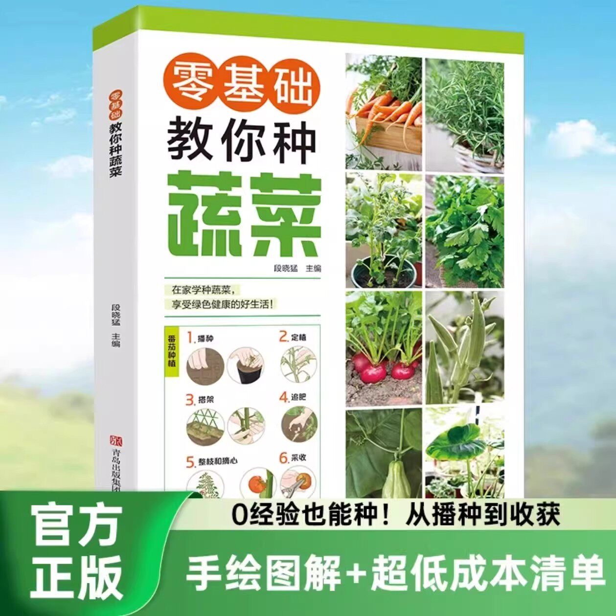 正版 蔬菜种植经验书籍 零基础教你种蔬菜技术图解 手绘图解低成本清单 在家种蔬菜播种种植搭架追肥整枝采收摘心操作指南手册