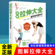 老年人拉伸 瑜伽拉伸教程书籍 健身术 舒展筋骨 消除疲劳 拉伸肌肉 简易 从头到脚做拉伸 常见病拉伸 正版 夫妻拉伸 图解拉伸大全