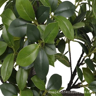 仿真植物假树叶迷你榕叶8号槐树叶子榆O树绿植拍摄工程装饰