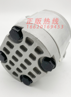 日立ZAX200/230/240/330/360/450-3-5-6挖掘机V液压先导泵 齿轮泵