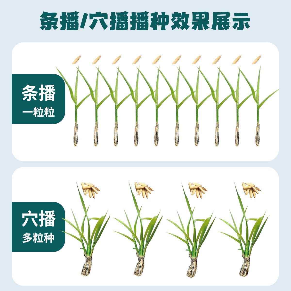 新款水稻播种机油菜籽直播机多功能点播机穴O播机粒数可调插秧机