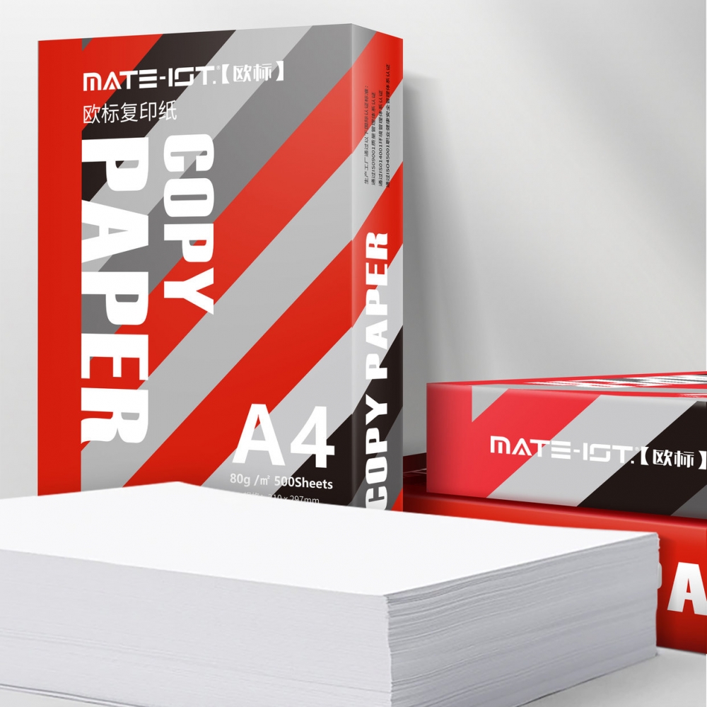 欧标A4打印纸整箱70g80g复印纸8包每箱2500张一箱 5包/箱(500张/包)A0010/A0009/A0006/A0104包邮官方旗舰店