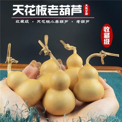 天然胖墩小葫芦文玩胖梨形手捻摆挂件手把件绕指柔独霸葱头葫同款