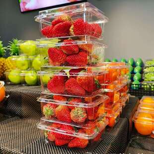 一次性水果包装盒超市一斤装透明塑料盒水果店500M网红草莓打包盒