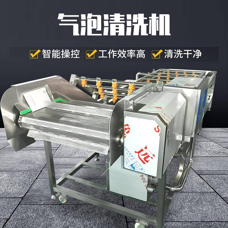 多功能全自动果蔬气泡清洗机清洗杀菌果蔬气泡清洗加工清洗输送线