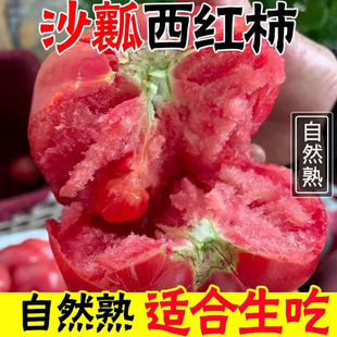 攀枝花普罗旺斯西红柿沙瓤新鲜自然熟应季水果番茄生吃5斤包邮
