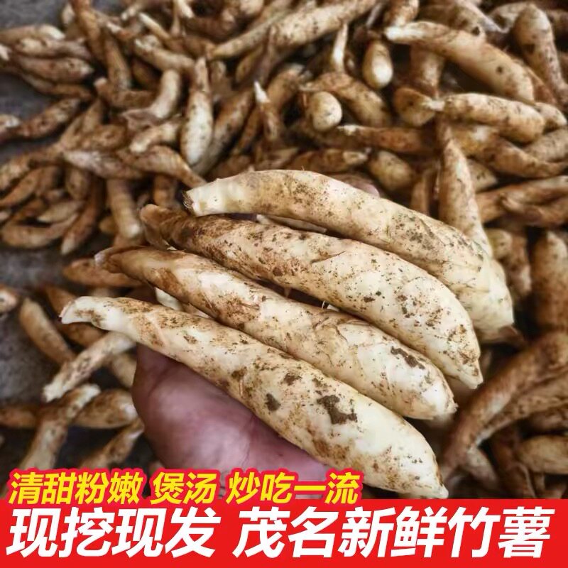 高州竹薯无渣新鲜冬粉薯竹竽京东薯凉粉薯1斤3斤5斤火锅煲汤食材