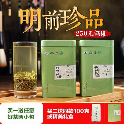 2025遂川狗牯脑茶江西狗牯脑茶叶遂川特级狗枯脑茶250克明前罐装