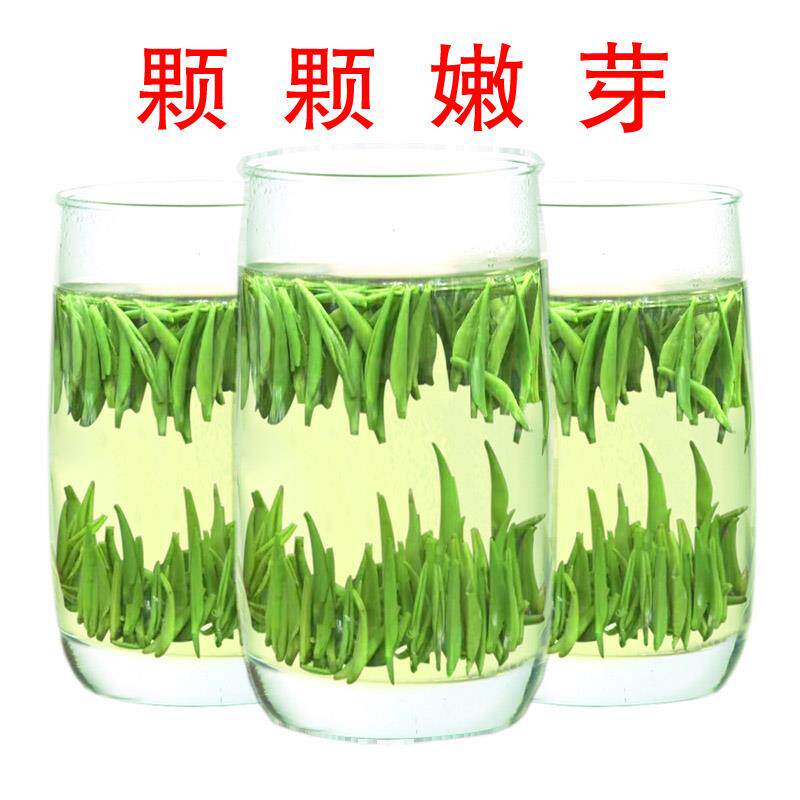 茶叶绿茶2025新茶明前特级嫩芽高山雀舌毛尖信阳自产自销250g
