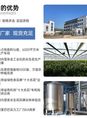 新品厂家永生花玫瑰rose礼盒wonly生日摆件干燥花束真花送女友520
