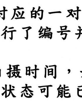 君君兰苑兰花苗   r莲瓣兰大雪素兰易养殖室内绿植草本花卉