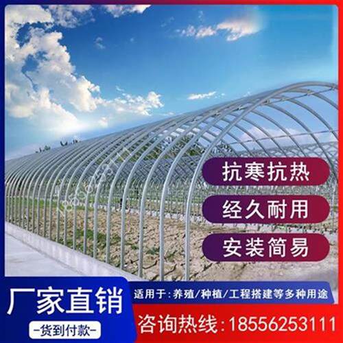 新品大棚骨架全套用品配件钢架钢管镀C锌隔P热PRS连栋椭圆管养殖