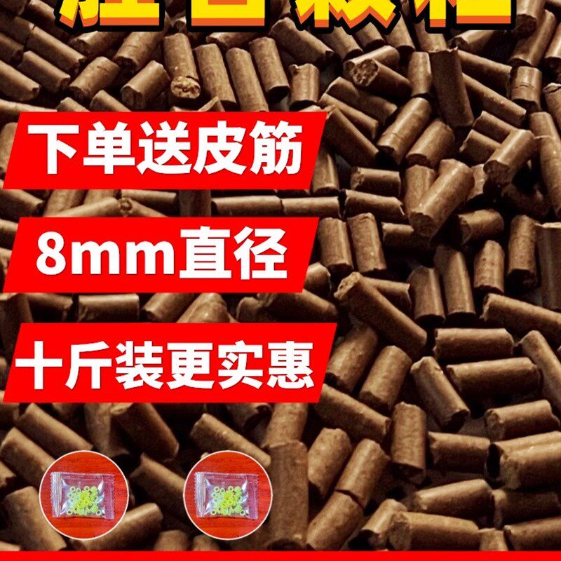 新品炒香菜籽颗粒8MM打窝水库巨D物夏季腥香鱼饵料野钓鱼饵沉底鲤