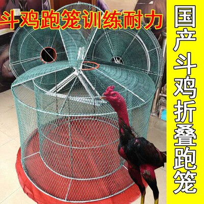 极速斗鸡跑笼斗鸡折叠o跑笼斗鸡训练国产跑笼斗鸡训练用品跑笼斗