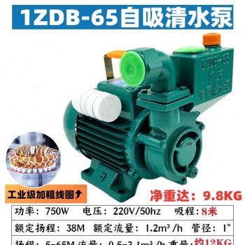 极速新品爆广东清水泵家用自吸泵高扬程C220V自来水X管道自动增压