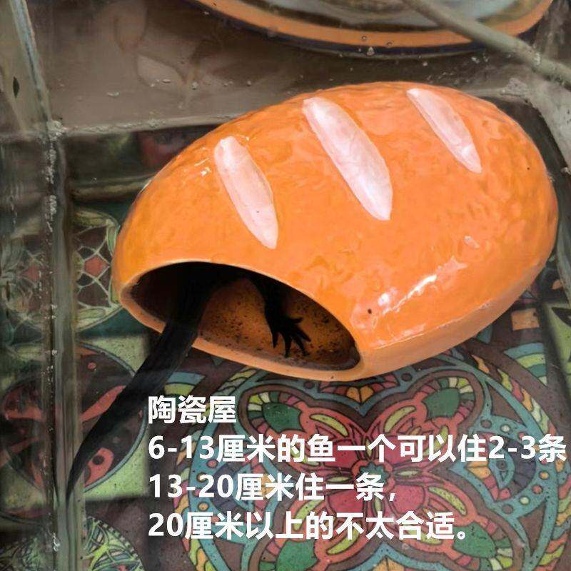 水族鱼缸红绿灯鱼黄金泥鳅蝾螈躲避窝产卵屋迷你热带鱼六角躲藏窝