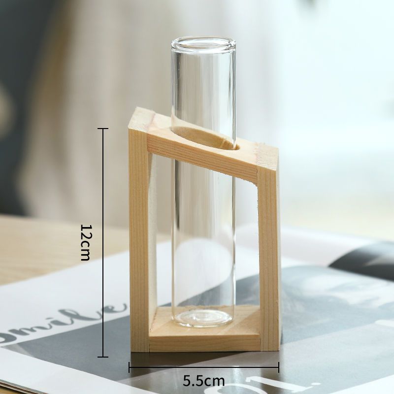 小清新创意木工艺品透明玻璃水培植物容器桌面电视柜装饰摆件